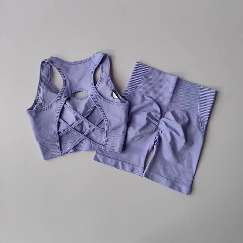 2-Piece Women’s Seamless Yoga Set – Sport Bra & High Waist Shorts