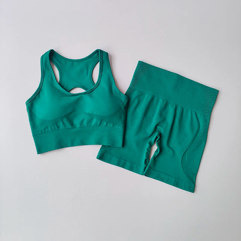 2PCS Seamless Yoga Set – Sports Bra & High Waist Shorts