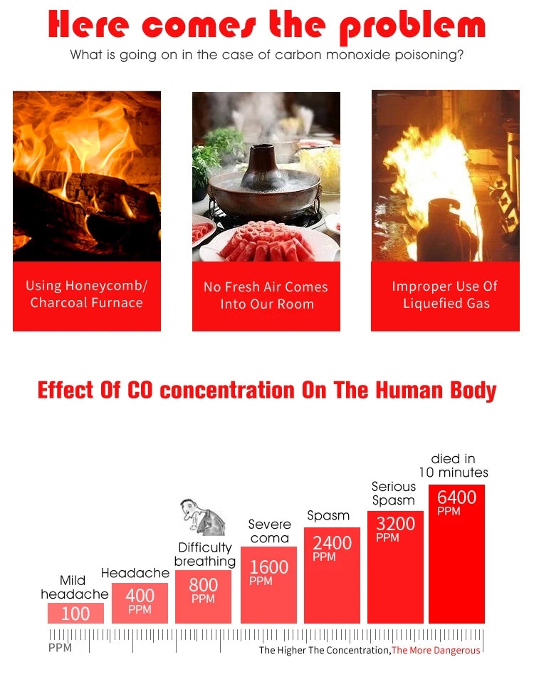 Independent CO Alarm Sensor – Carbon Monoxide Detector with LCD Display & 85dB High-Sensitivity Warning for Home & Hotel
