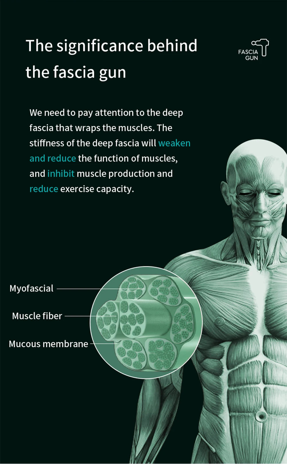 99-Level Deep Tissue Massage Gun – Electric Muscle & Fascia Relaxation Tool